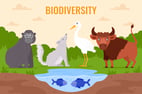 International Day for Biological Diversity
