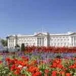 Buckingham Palace