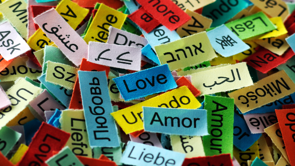 Modern Languages 