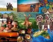 July Africa - North & South