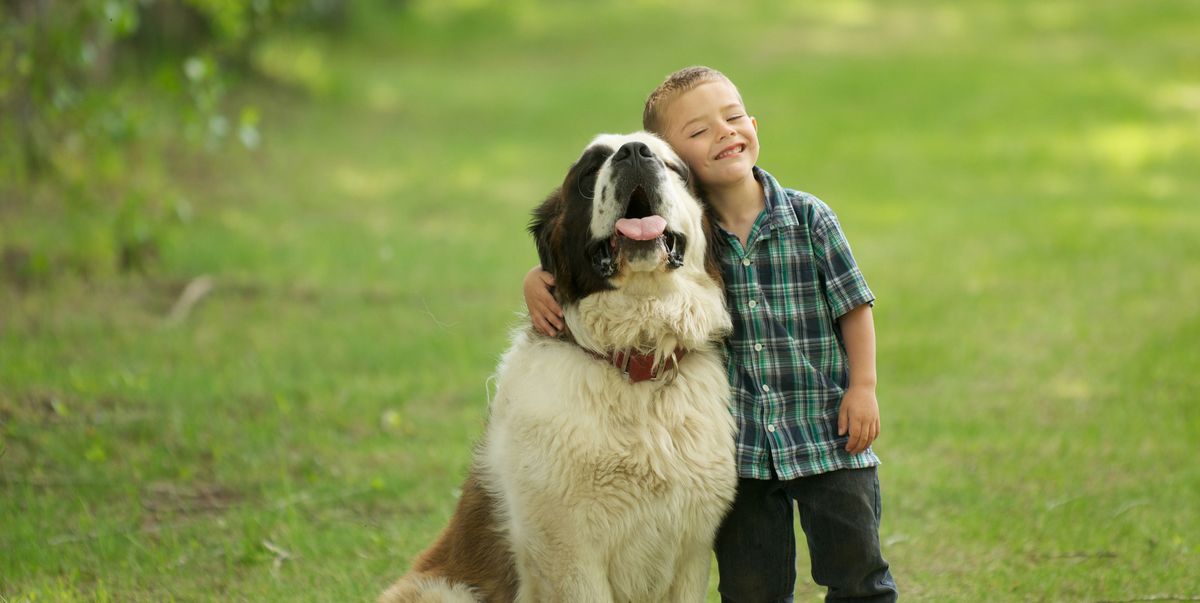 Building Empathy and Respect in Early Years