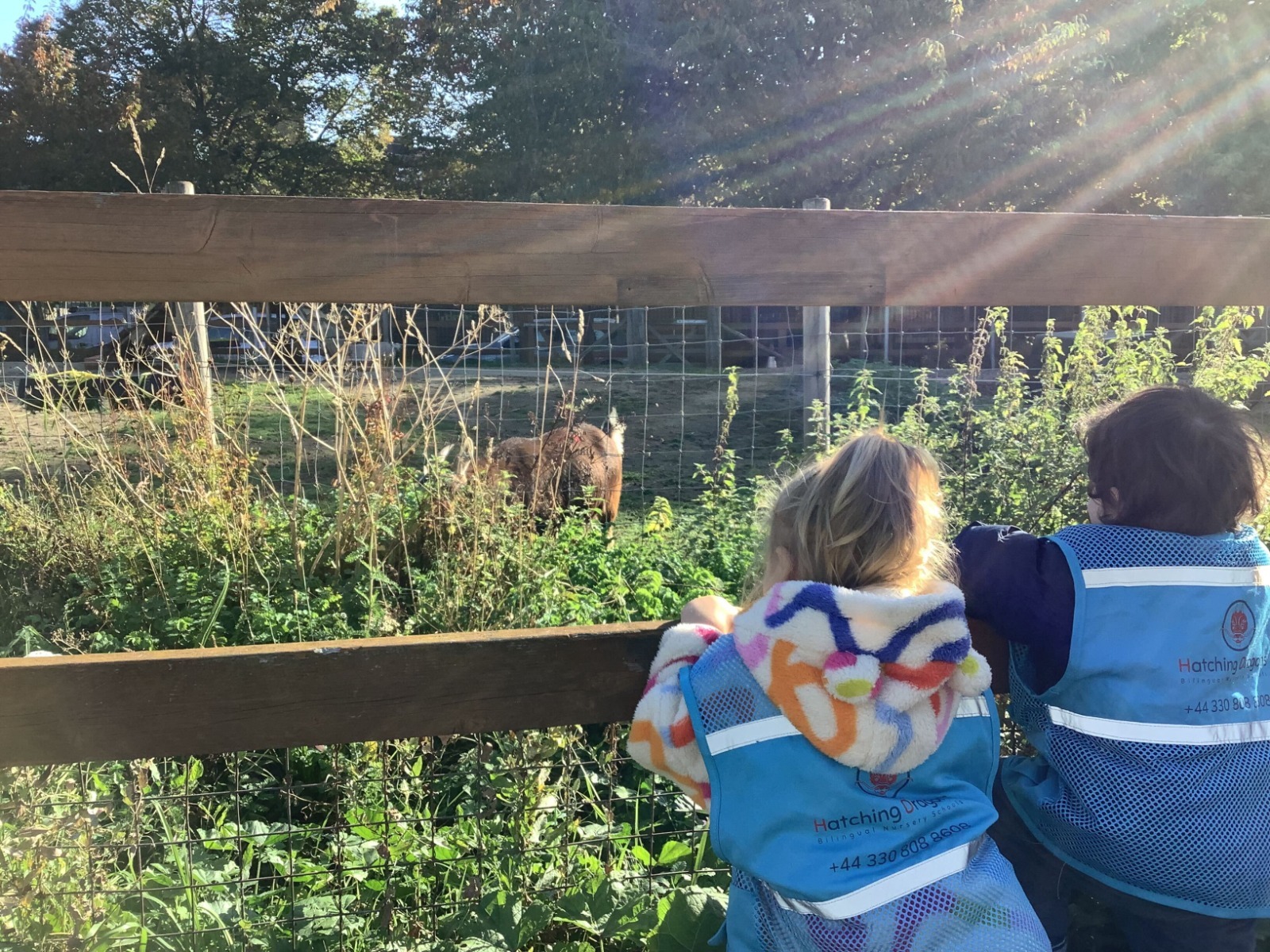 Top Listening Activities for EYFS Classrooms